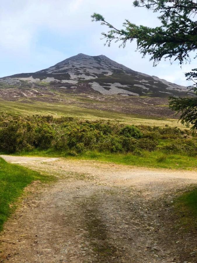 Arallt Llithfaen